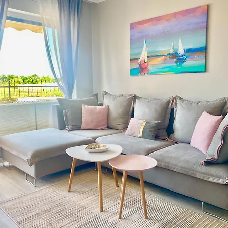 In Complex Panorama *